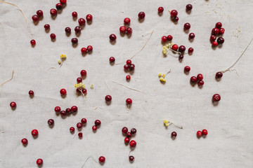red berries and dried flowers scattered on white cloth