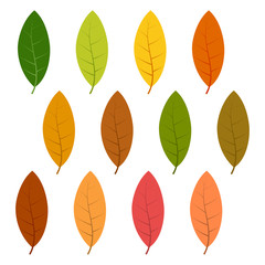 Set of twelve autumn leaves