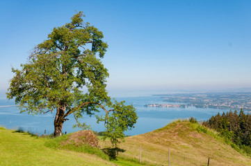 Fototapeta premium aerial view on Bodensee