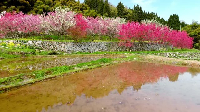 ドローン空撮 天国に一番近い里 前進