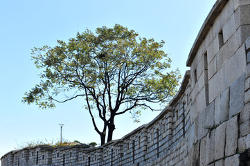 Part of Naksanseong Fortress at the Naksan Park in Seoul, South Korea