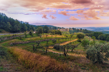 Obraz premium View on Fonterutoli on sunrise. It is hamlet of Castellina in Chianti in province of Siena. Tuscany. Italy.