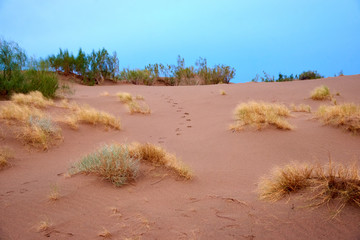 Sand dunes in the desert of Kazakhstan in the evening.