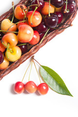 Yellow and red sweet cherry in basket with green leaf isolate on white.