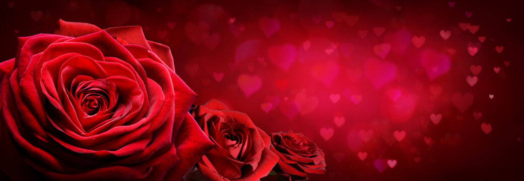 Red Roses In Heart Shape With Red Passion Background
