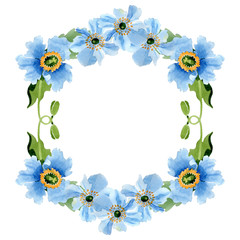 Blue Poppy. Floral botanical flower. Frame border ornament square.