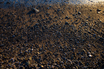 Golden sand, consecrated by the setting sun, by the sea, wet from the ebbing wave.