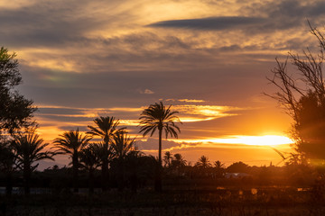 Obraz premium atardecer oasis