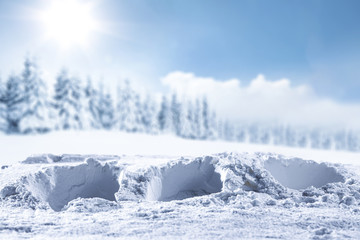 Winter background and snow decoration 