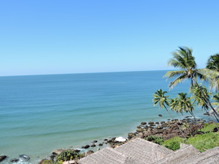 Fototapeta premium Coconut trees and Beach green nature landscape