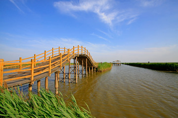 Wetland park scenery