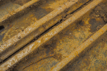 Close up of muddy caterpillars