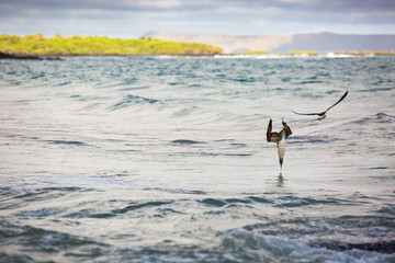 When the timing is spot on