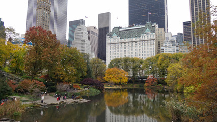 Central park in autumn, New York
