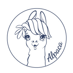 Llama cartoon alpaca. Llama animal vector isolated illustration. Design for card, sticker, fabric textile, t-shirt. Children, child of modern trendy style