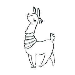 Llama cartoon alpaca. Llama animal vector isolated illustration. Design for card, sticker, fabric textile, t-shirt. Children, child of modern trendy style