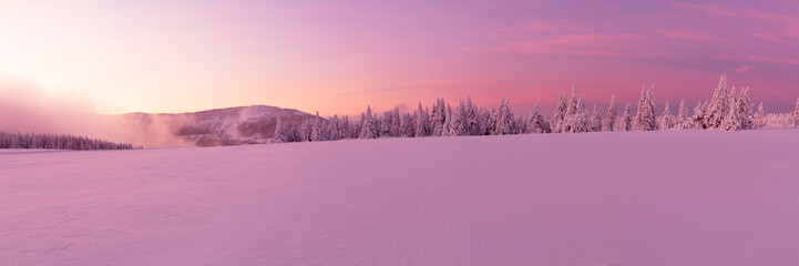 Panoramic idyllic winter landscape