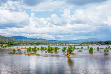 Mekong River View