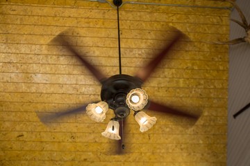 Ceiling Fan