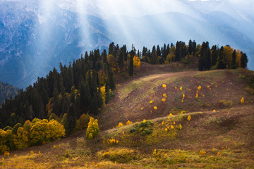 Mountains, the rays of the sun illuminate the forest in the mountains, patches of light, the autumn...