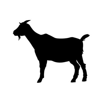 Goat standing silhouette