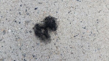 hair on floor