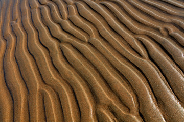 seaside beach texture