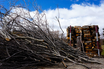 薪のある風景と青空