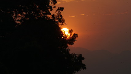 sunset in the forest