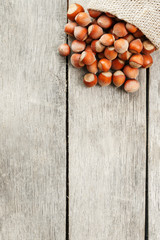 Hazelnuts in a cover, poured out from a bag from burlap on a gray wooden table