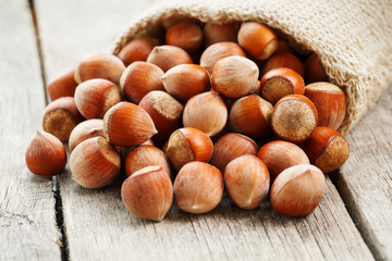 Hazelnuts in a cover, poured out from a bag from burlap on a gray wooden table