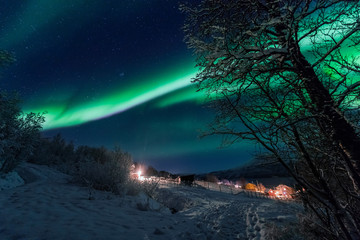 The polar arctic Northern lights aurora borealis sky star in Scandinavia Norway Tromso in the farm...