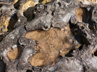 stone formed by water