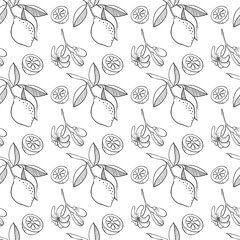 Sketched lemon seamless pattern