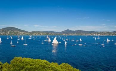 Les Voiles de Saint-Tropez regatta yachts an the bay are waiting for the race start