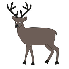 Adult male deer with big horns isolated white background.