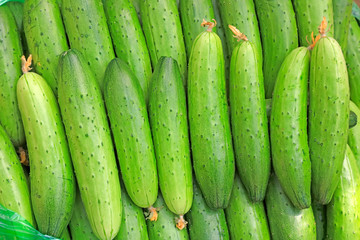 cucumbers stacked together