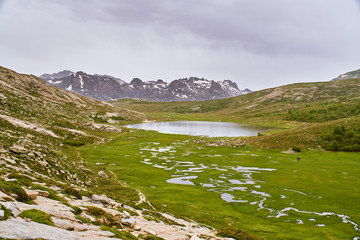 Blue meadows surrounding Lac de Nino lake in Corsica mountains and snow covered peaks in the background GR20