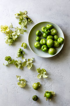 Tomatillos, or Mexican husk tomato