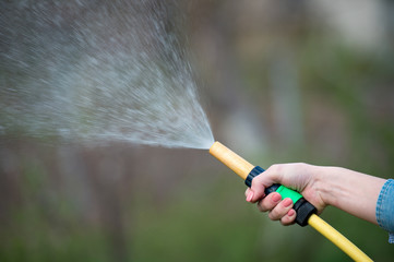 hand watering garden with sprinkler, close up