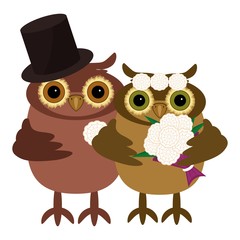 wedding of nice owls 