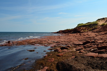 red coast of the sea
