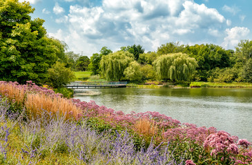 Summer landscape of Chicago Botanic Garden, Glencoe, Illinois, USA