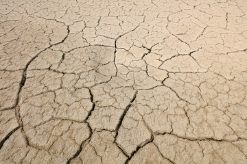 Arid cracked land