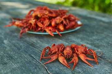 Crawfish cooked and served on wooden background