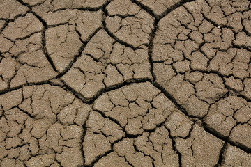 Arid cracked land