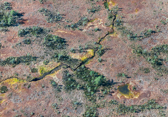 aerial view over the swamp
