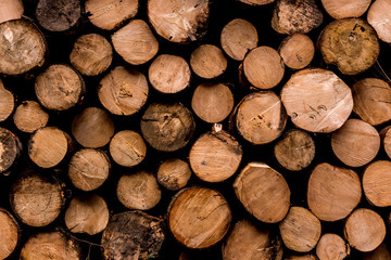 Fototapeta premium Bellagio Como, Italy - cut wooden logs