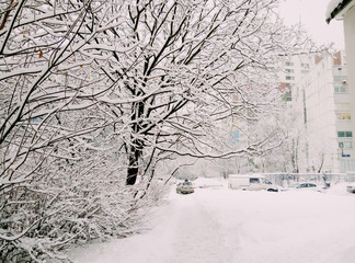 Beautiful white snowy Christmas in Russia