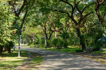 Obraz premium Public park in the city.